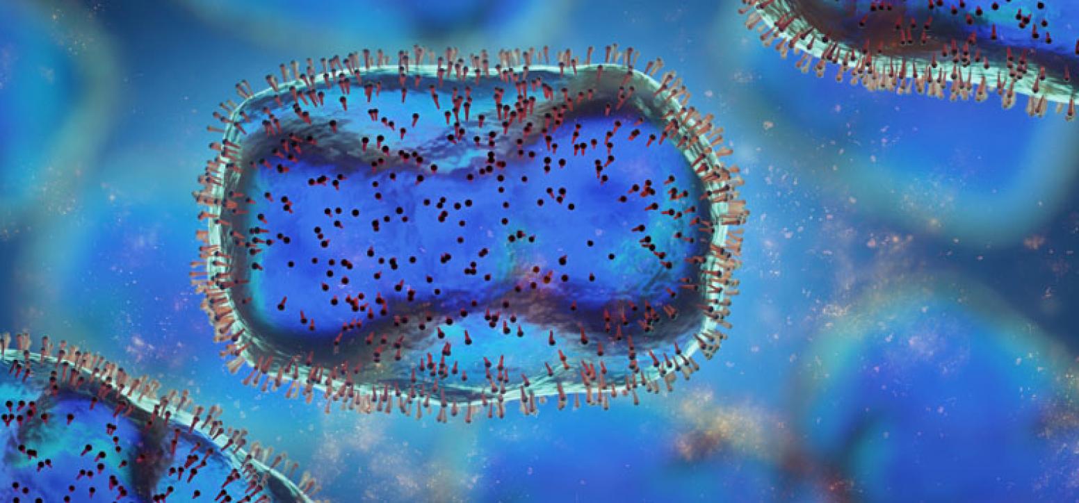 blau eingefärbtes Affenpockenvirus